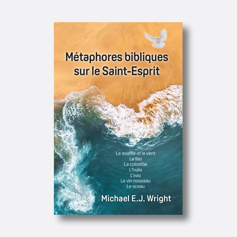 base-livre-affinity-photo metaphores_couv